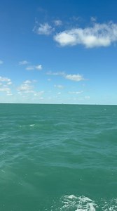 It was cold and windy out there. But I saw the shrimp boats heading up the northwest channel, so the weather should be getting better. | Eddie Marsh