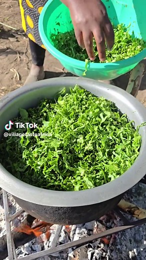 Exploring the Vibrant Rural Lifestyle of African Villages