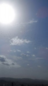 2 "unknown" jet low passes over #Beirut at 10:27am & 10:32am no visual confirmation only heard as migrating birds were above the city again