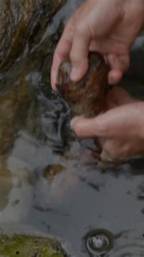 Explore the real Oregon legend that inspired The Goonies. 🏴‍☠️ Uncover history on a new #ExpeditionUnknown Wednesday at 9P on Discovery. | Discovery