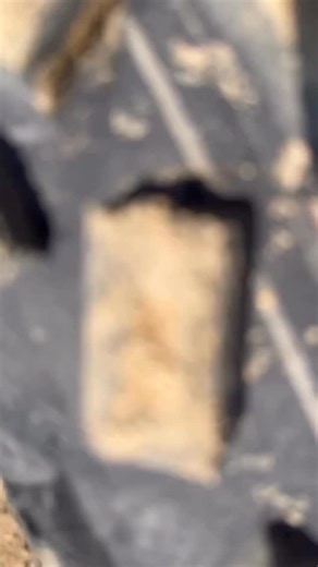 5.9K views · 204 reactions | @brunof.medeiros with the blood 喝 RED YFZ450R ! #walshracecraft #yamaha #yfzr #yfz450r #atv | WALSH Race Craft | Facebook