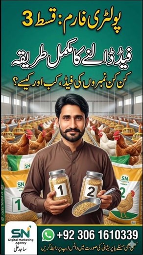Poultry Feed Management Guide: Best Feed Types & Feeding Schedule | Episode 3