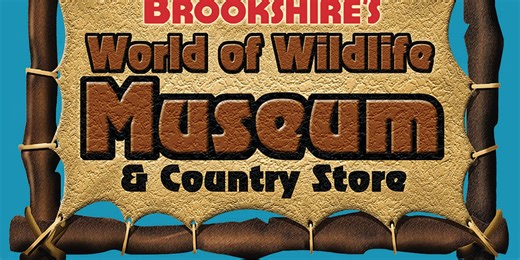 Brookshire’s to re-open wildlife museum at new location in Tyler