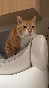 500K views · 7.7K reactions | 注意表情管理 | A2頻道 | Facebook