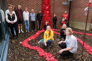 Sheffield school knits heartfelt poppy display for Remembrance Day