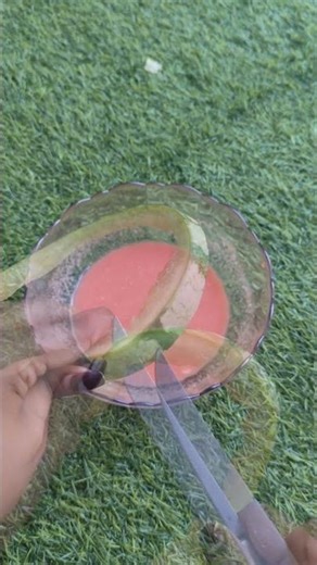 summer's cutest popsicle 🍉🧊