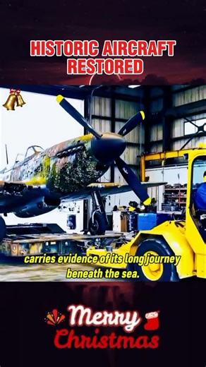 Restoring a Forgotten P-51 Mustang | Deep-Sea Aircraft Recovery