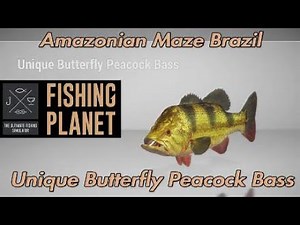 Unique Butterfly Peacock Bass - Amazonian Maze Brazil - Fishing Planet Guide