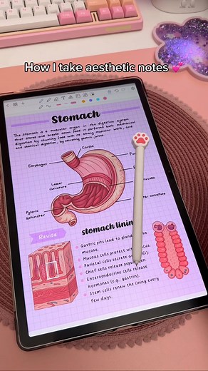 digital planner | goodnotes on Instagram: "How I take aesthetic notes 💕 Using Penly app on my Samsung galaxy tab S9+ ✨ Comment LINK and I’ll DM you the link to my digital notebook ✏️ You can also make colored templates right inside Penly app: Tap the + icon → New document → choose Pattern (grid) under the Color settings. 🏷️ #samsungtablet #digitalnotetaking #studygram #penlyapp #spen #aestheticnotes #studynotes #digitalnotes #galaxytab #studywithme #studymotivation #studytips @penly.app"