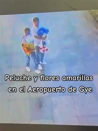 flores amarillas en el Aeropuerto de Guayaquil 🌻✈️ #aeropuerto #guayaquil_ecuador #eugenioespejo #floresamarillas #peluche