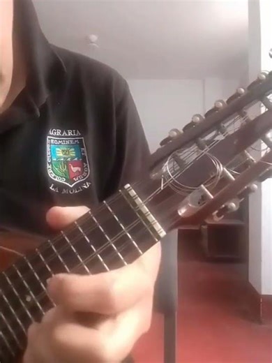 tutorial mujer ingrata bandurria