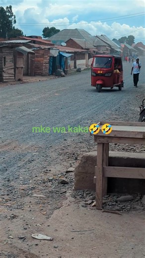 Gubu Pro Max: Happy Holidays Season