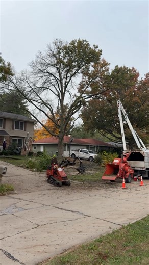 Black oak removal #DeadTreeRemoval #treeservice #stihl #TreeRemoval #milwaukeetools #morbarkchippers | Neer Perfection Tree Service