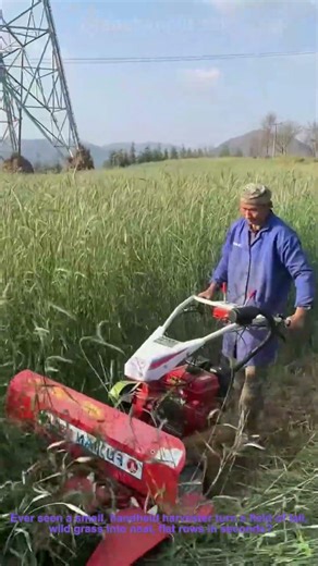 Satisfying Handheld Harvester Cutting Tall Grass