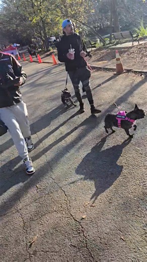 Shane Phillips on Reels