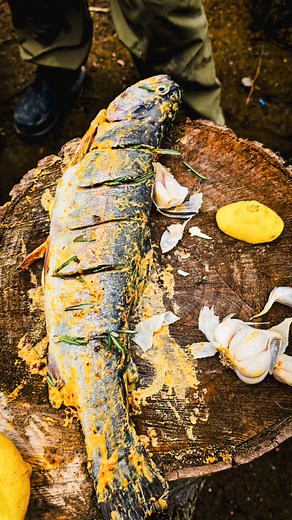 Cuisine primitive juin 2024! Quelques images d'un week-end délicieux! #bbq #cooking #survival #survie #cuisine #lesprimitifs | Mathieu Hébert