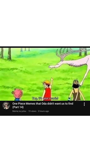 one piece memes 49