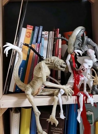 ‪@Shorts‬ facehugger, alien, ridley scott, xenomorph, franchise, creature design, sci-fi #horror