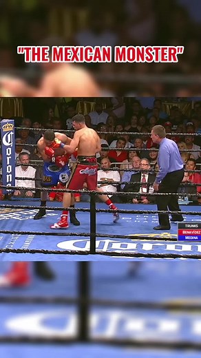 Ultimate Boxing Highlights and Training Combos