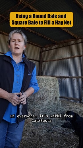 🌾💚 Mixing hay from both a round bale and a square bale, the round bale is really really yummy hay while the square bale is less palatable hay, so we are mixing it up! 🐴🐑 This is an easy way to keep things interesting, reduce waste, and make sure everyone stays happy (and busy!) at feed time. 🙌 | Gutzbusta Slow Feed Hay Nets USA
