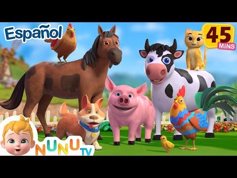 🐄 Viejo MacDonald 🐷 y 👶 Familia Dedo 👶 | Compilación Infantil | NuNu Tv Canciones Infantiles