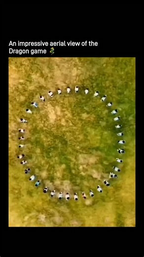 Wealth | Business | Tech on Instagram: "A drone captures a group playing the dragon game on an open field. People link arms to form a flowing dragon shape, then smoothly collapse back into a perfect circle. Simple rules, insane coordination. Filmed from above, it looks hypnotic, almost unreal. What started as a team-building exercise turned into a viral moment that people couldn’t stop watching. Follow (us) @steellwisdom for daily content like this! No copyright intended. All footage and music b