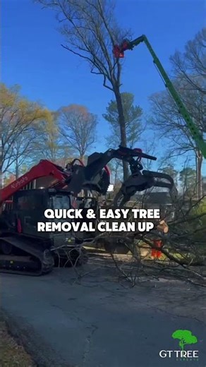 🏡 Atlanta Tree Service You Can Rely On #treeservice