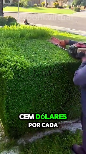 O trabalho mais satisfatório do mundo? 🤔 #curiosidades #foryou #foryoupage
