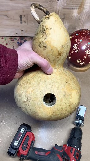 Repurposing a Hayloft Gourd: A Beautiful Birdhouse Project