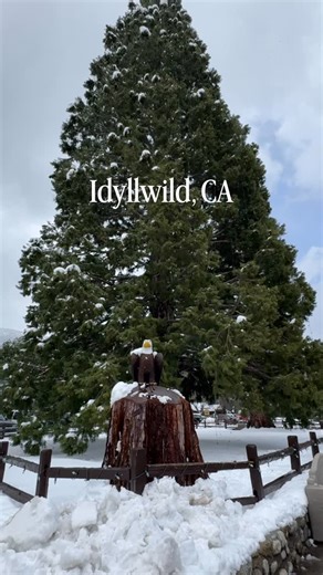 ❄️ Snow in Idyllwild update: I spoke with a few locals and did the research so you don’t have to. 📍 Share this with your snow loving adventurous besties, Save this for your next snow day and follow These images are from March 2025, but as of Tuesday morning, February 17, Idyllwild has already received 9 inches of fresh snow, and more is on the way. 🌨️ Incoming storm totals -Heavy, wet snow & rain expected through Thursday morning, February 19 -Forecast totals of 8–18 inches, with 2 feet possib
