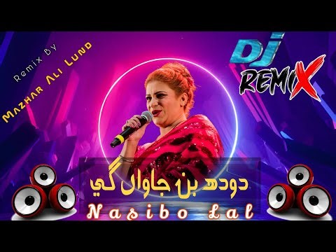 Nasibo Lal Dj Remix Song 2025 🎶 Pakistani DJ Song 2026 | Nasibo lal Bass Bosted Dj Remix 💓
