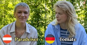 How Similar Are Austrian German And Standard German?