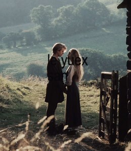 such a beautiful movie #theprincessbride #princessbride #edit #movie #xyzcba