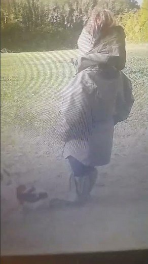 muddy le chameau wellies through bogs flooding wellies flooded boots wet and messy mud water mess