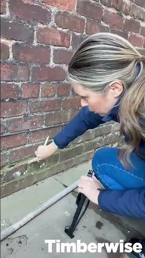 Bridged or failed Damp proof course?