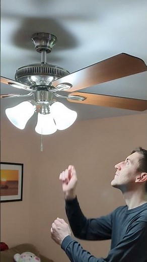 Ceiling Fan Hack: Adjust Your Fan Rotation for Summer Cooling