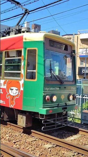 町屋駅前駅｜都電荒川線（東京さくらトラム）東京都交通局7700形電車7702号車の発車。R8/4。Toden Arakawa Line, Tokyo Sakura Tram JAPAN TRAIN