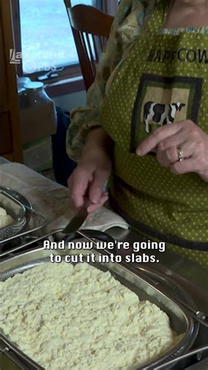 The Basics of Cheesemaking