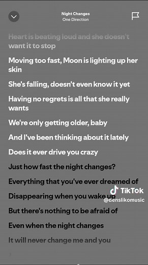 One Direction - Night Changes Lyrics Explained