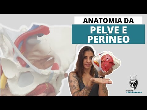ANATOMIA DA PELVE E PERÍNEO (MUSCULOESQUELÉTICA)