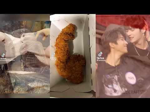 Neverita Bad Bunny TikTok Meme Compilation