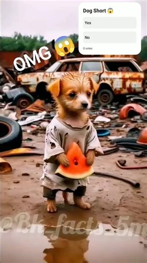 Dog Short 😱💯#viral#short