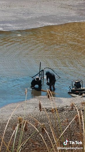 Farm Dam Project: Drainage and Construction Process