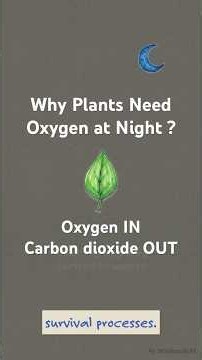 Can Plants Live Without Oxygen?#shorts