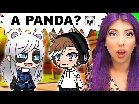 A Panda in an all Alpha School 🐾 (Gacha Life Mini Movie Reaction)