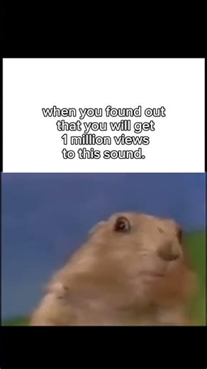 Me checking my views every 5 minutes 👁️👄👁️