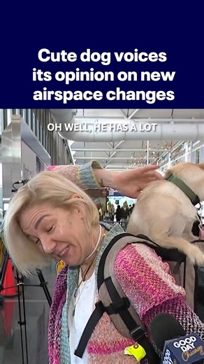A dog stole the show during an interview about FAA flight restrictions starting Friday — barking right through our report on O’Hare delays. MORE: bit.ly/4oAZvf4 | Fox 32 Chicago