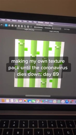 DIY Minecraft Texture Pack: Sugarcane Bundle Tutorial