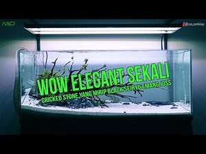 WOW ELEGANT SEKALI SETTING TANK DISCUS NATURE STYLE