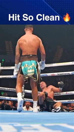 Jai Opetaia Can KO David Benavidez 🔥😅 #jaiopetaia #davidbenavide